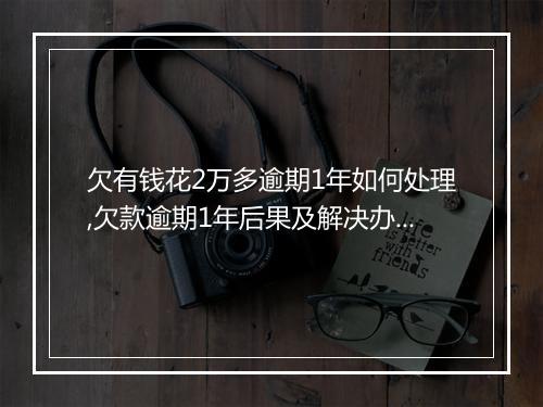 欠有钱花2万多逾期1年如何处理,欠款逾期1年后果及解决办法