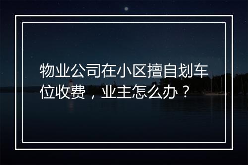 物业公司在小区擅自划车位收费，业主怎么办？
