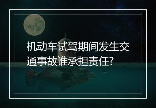 机动车试驾期间发生交通事故谁承担责任?