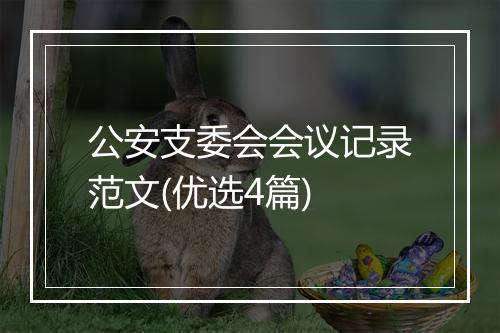 公安支委会会议记录范文(优选4篇)