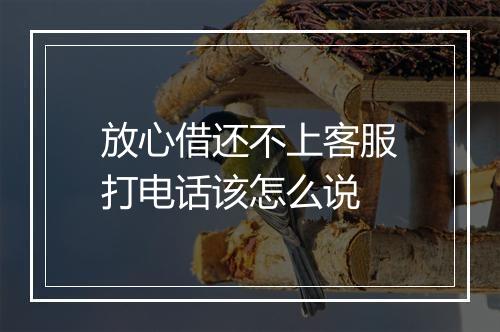 放心借还不上客服打电话该怎么说