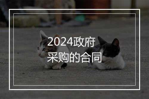 2024政府采购的合同