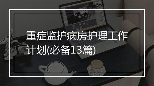 重症监护病房护理工作计划(必备13篇)