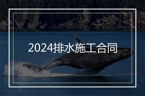 2024排水施工合同