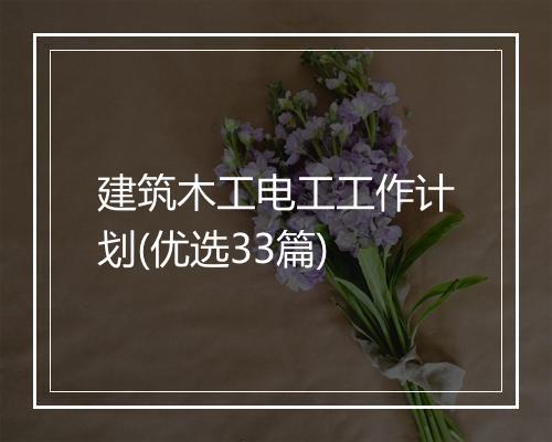 建筑木工电工工作计划(优选33篇)