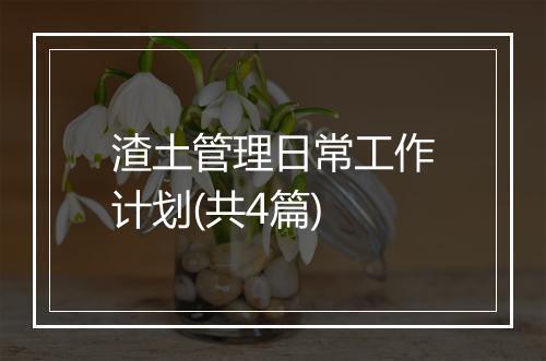 渣土管理日常工作计划(共4篇)