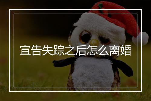 宣告失踪之后怎么离婚