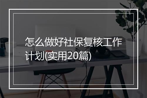 怎么做好社保复核工作计划(实用20篇)
