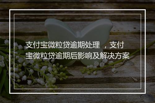 支付宝微粒贷逾期处理 ，支付宝微粒贷逾期后影响及解决方案