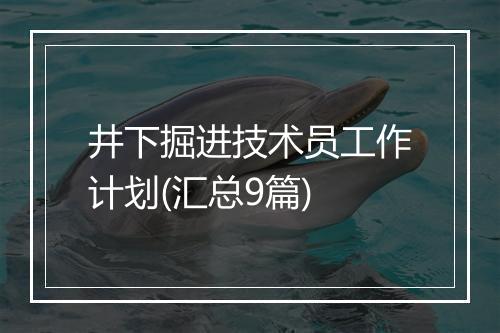 井下掘进技术员工作计划(汇总9篇)