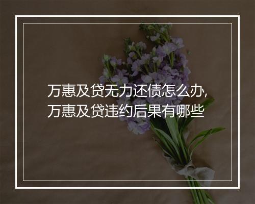 万惠及贷无力还债怎么办,万惠及贷违约后果有哪些