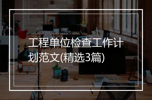 工程单位检查工作计划范文(精选3篇)