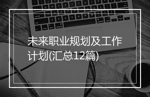 未来职业规划及工作计划(汇总12篇)