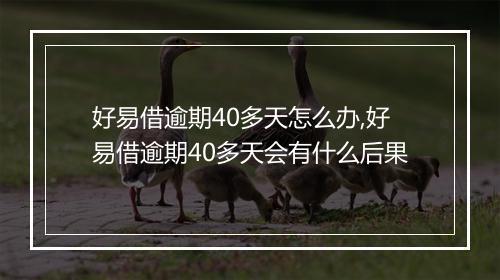 好易借逾期40多天怎么办,好易借逾期40多天会有什么后果