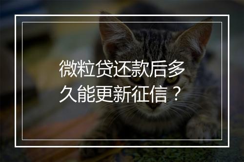 微粒贷还款后多久能更新征信？