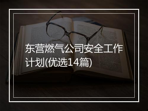 东营燃气公司安全工作计划(优选14篇)