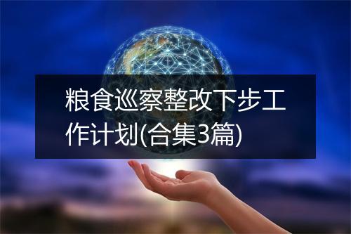 粮食巡察整改下步工作计划(合集3篇)