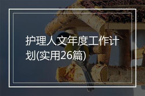 护理人文年度工作计划(实用26篇)