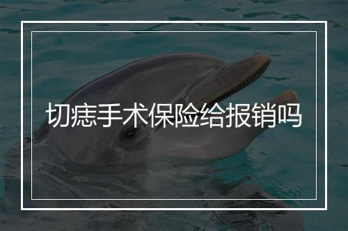 切痣手术保险给报销吗