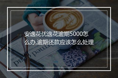 安逸花优逸花逾期5000怎么办,逾期还款应该怎么处理