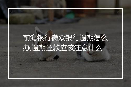 前海银行微众银行逾期怎么办,逾期还款应该注意什么