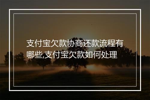 支付宝欠款协商还款流程有哪些,支付宝欠款如何处理