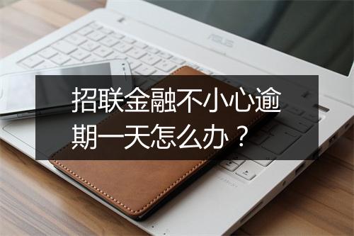 招联金融不小心逾期一天怎么办？