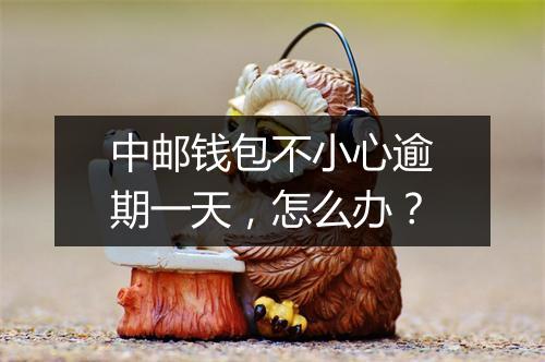 中邮钱包不小心逾期一天，怎么办？