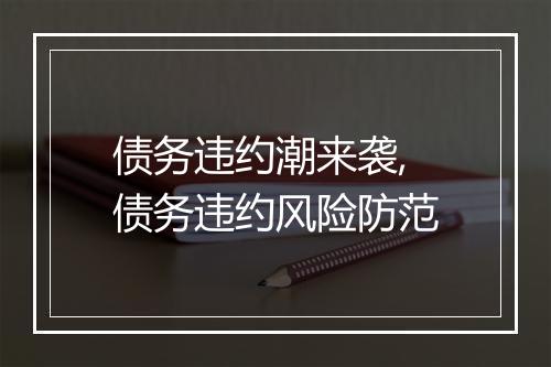 债务违约潮来袭,债务违约风险防范