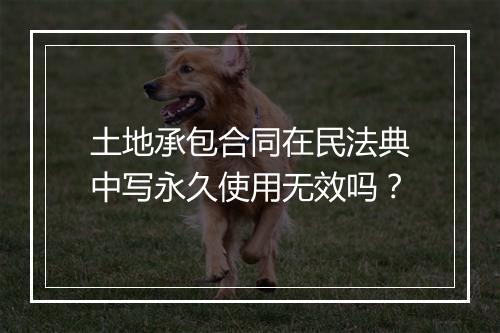 土地承包合同在民法典中写永久使用无效吗？