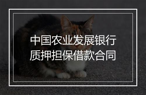 中国农业发展银行质押担保借款合同