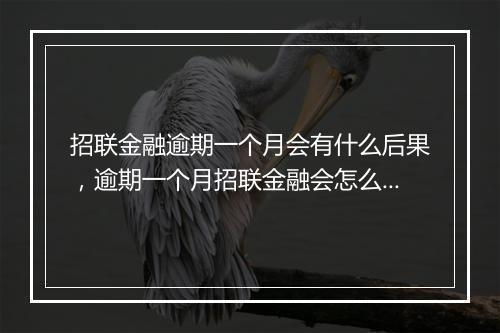 招联金融逾期一个月会有什么后果，逾期一个月招联金融会怎么处理