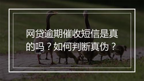 网贷逾期催收短信是真的吗？如何判断真伪？
