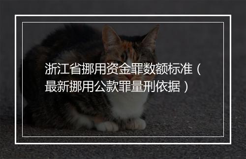 浙江省挪用资金罪数额标准（最新挪用公款罪量刑依据）