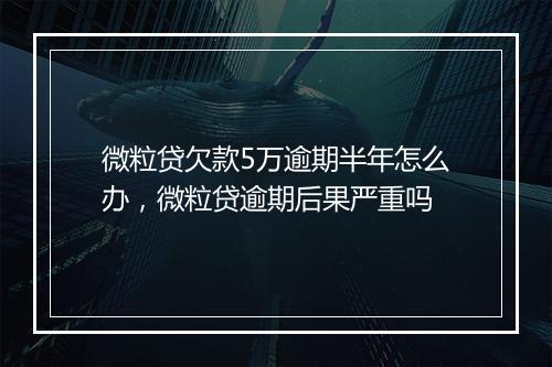 微粒贷欠款5万逾期半年怎么办，微粒贷逾期后果严重吗
