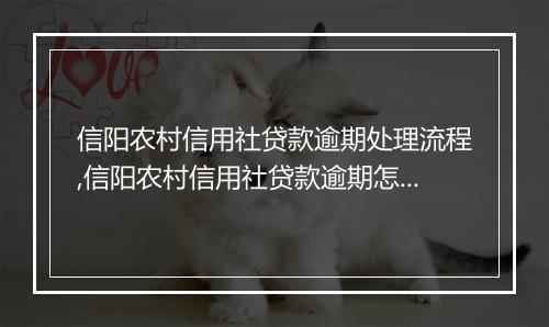 信阳农村信用社贷款逾期处理流程,信阳农村信用社贷款逾期怎么办