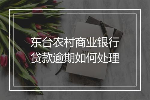 东台农村商业银行贷款逾期如何处理