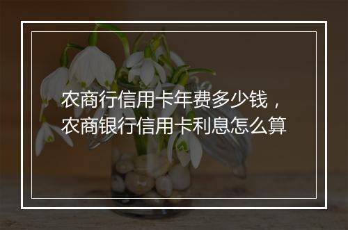 农商行信用卡年费多少钱，农商银行信用卡利息怎么算