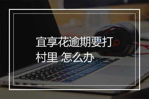 宜享花逾期要打村里 怎么办