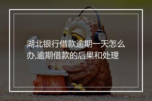 湖北银行借款逾期一天怎么办,逾期借款的后果和处理