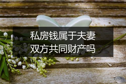 私房钱属于夫妻双方共同财产吗