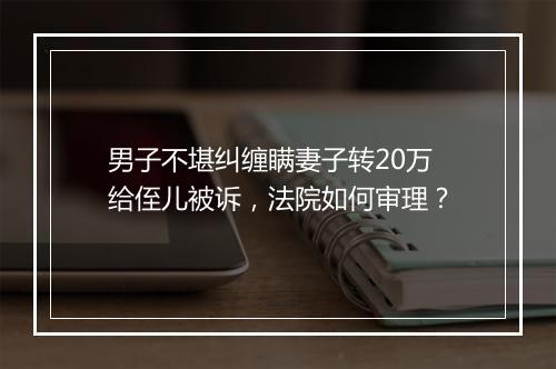 男子不堪纠缠瞒妻子转20万给侄儿被诉，法院如何审理？