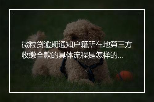 微粒贷逾期通知户籍所在地第三方收缴全款的具体流程是怎样的？微粒贷逾期会有哪些后果？