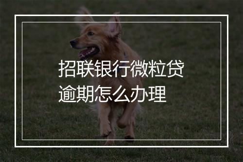 招联银行微粒贷逾期怎么办理