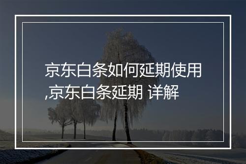 京东白条如何延期使用,京东白条延期 详解