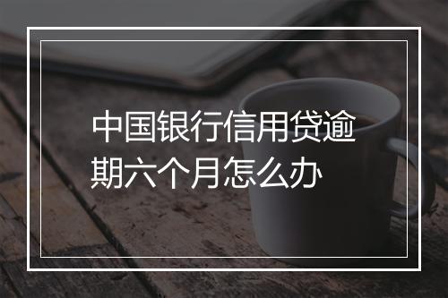 中国银行信用贷逾期六个月怎么办