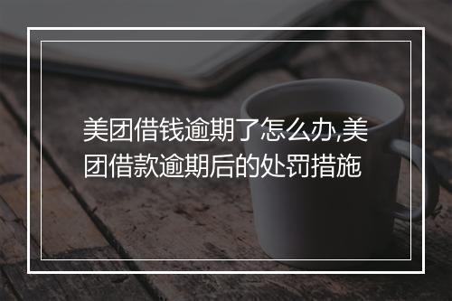 美团借钱逾期了怎么办,美团借款逾期后的处罚措施