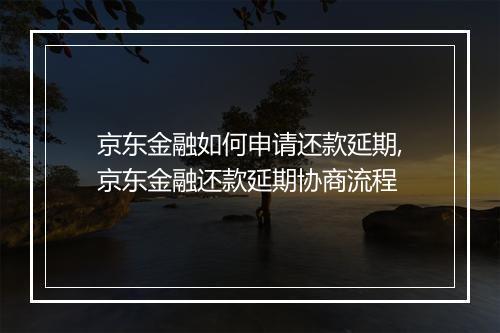 京东金融如何申请还款延期,京东金融还款延期协商流程