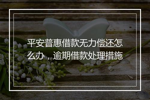 平安普惠借款无力偿还怎么办，逾期借款处理措施