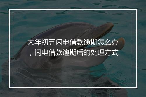大年初五闪电借款逾期怎么办，闪电借款逾期后的处理方式